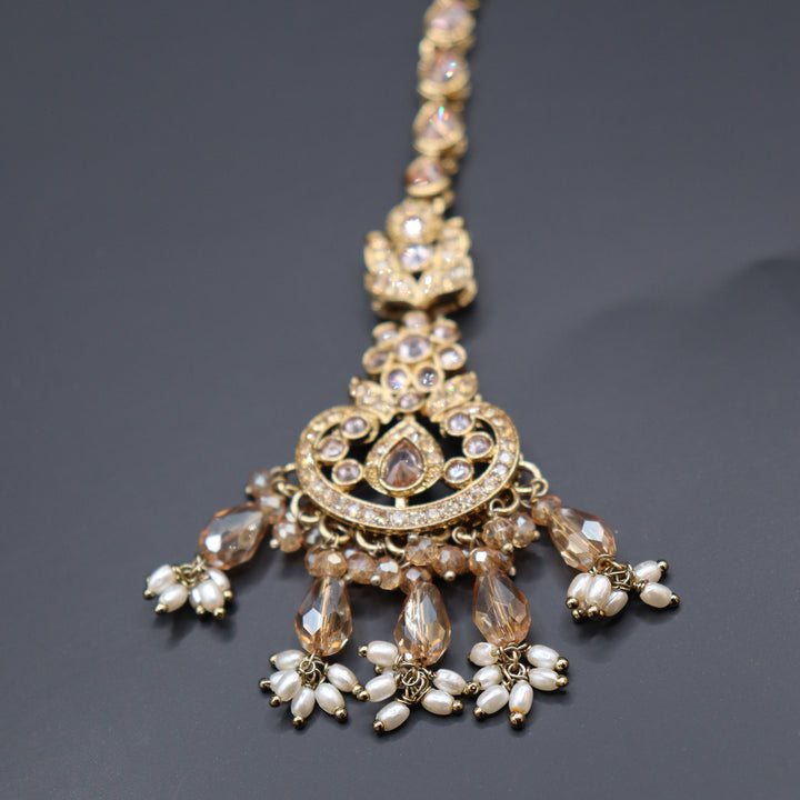 Beige Premium AD Stone Pakistani Set [SKU: N011622]